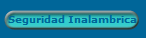 Seguridad Inalambrica