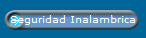 Seguridad Inalambrica