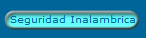 Seguridad Inalambrica